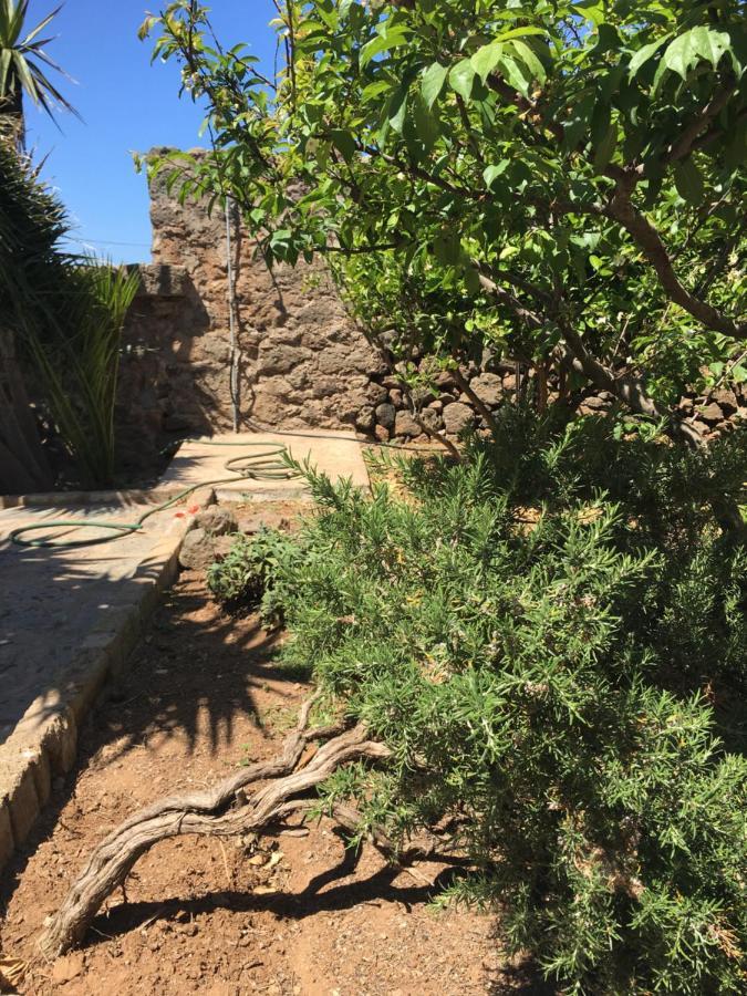 Cactus B&B Le Casette Di Marilena Pantelleria Eksteriør bilde